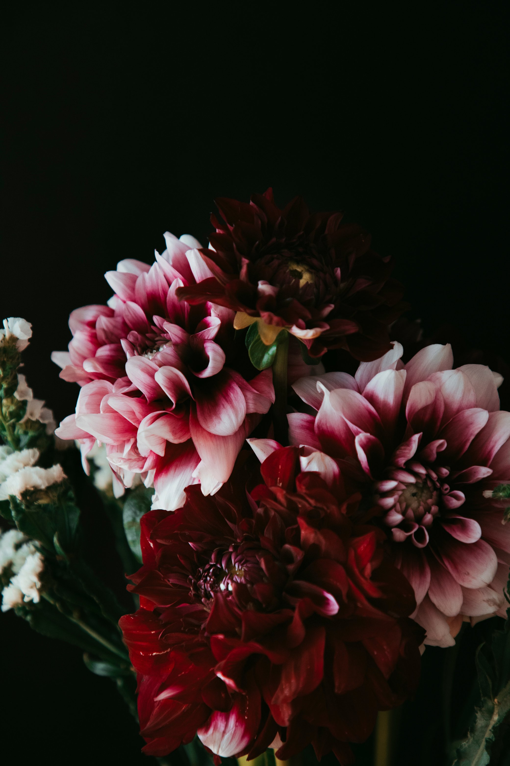 Bouquet of Dahlia Flowers 